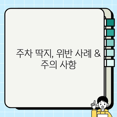 불법 주정차 과태료, 지역별 기준 & 조회 방법 총정리 | 과태료 납부, 위반 사례, 주의 사항