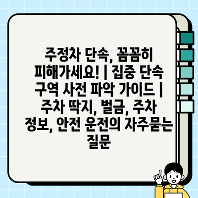 주정차 단속, 꼼꼼히 피해가세요! | 집중 단속 구역 사전 파악 가이드 | 주차 딱지, 벌금, 주차 정보, 안전 운전