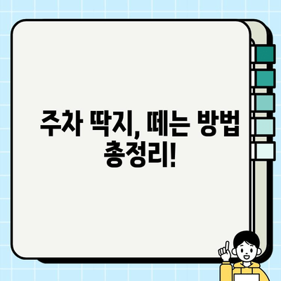 주정차 단속 시간 & 과태료 완벽 정리 | 지역별, 위반 유형별 상세 정보