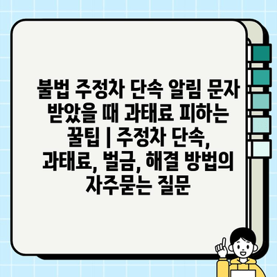 불법 주정차 단속 알림 문자 받았을 때 과태료 피하는 꿀팁 | 주정차 단속, 과태료, 벌금, 해결 방법