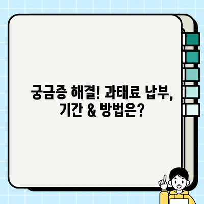 불법 주정차 과태료, 바로 확인하세요! | 간편 조회 방법 & 궁금증 해결