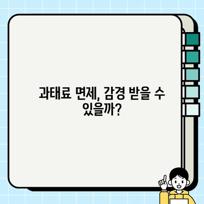 불법 주정차 과태료, 바로 확인하세요! | 간편 조회 방법 & 궁금증 해결