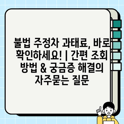불법 주정차 과태료, 바로 확인하세요! | 간편 조회 방법 & 궁금증 해결