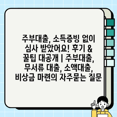 주부대출, 소득증빙 없이 심사 받았어요! 후기 & 꿀팁 대공개 | 주부대출, 무서류 대출, 소액대출, 비상금 마련