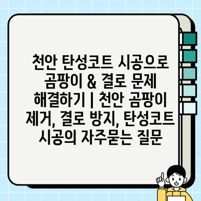 천안 탄성코트 시공으로 곰팡이 & 결로 문제 해결하기 | 천안 곰팡이 제거, 결로 방지, 탄성코트 시공