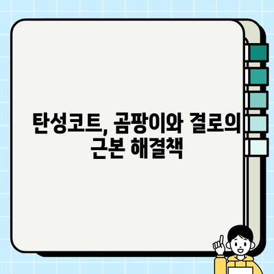 탄성코트 시공으로 곰팡이와 결로를 확실하게 잡는 방법 | 곰팡이 제거, 결로 해결, 탄성코트 시공 가이드