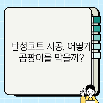 탄성코트 시공으로 곰팡이와 결로를 확실하게 잡는 방법 | 곰팡이 제거, 결로 해결, 탄성코트 시공 가이드