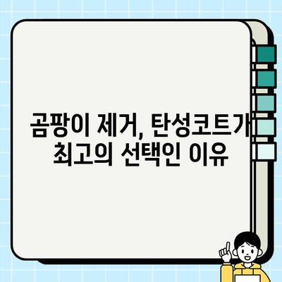 탄성코트 시공으로 곰팡이와 결로를 확실하게 잡는 방법 | 곰팡이 제거, 결로 해결, 탄성코트 시공 가이드