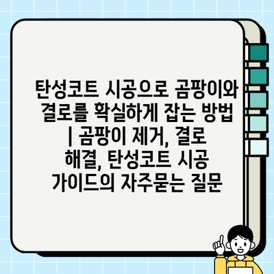 탄성코트 시공으로 곰팡이와 결로를 확실하게 잡는 방법 | 곰팡이 제거, 결로 해결, 탄성코트 시공 가이드