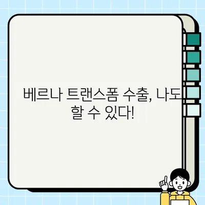 베르나 트랜스폼 중고차 수출, 성공적인 거래 경험 공유 | 중고차 수출, 베르나 트랜스폼, 해외 판매, 수출 절차, 팁