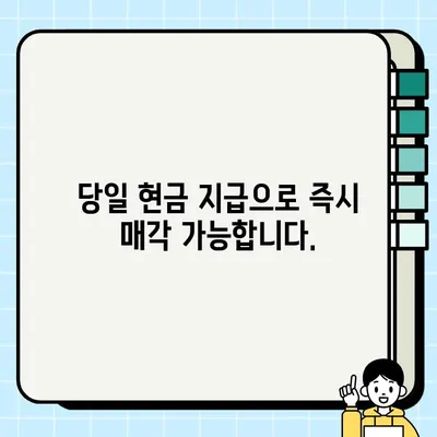 수원 중고 오토바이 매입| 당일 처리 가능! 바이크 매매 전문 | 빠른 현금 지급, 최고가 매입