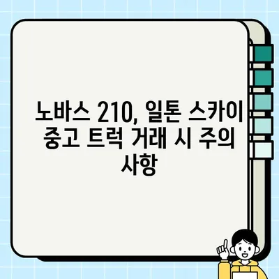 노바스 210, 일톤 스카이 중고 트럭 거래 정보| 1.2톤 & 1톤 모델 비교 | 중고 트럭 매매, 가격, 옵션, 정보