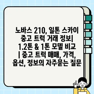 노바스 210, 일톤 스카이 중고 트럭 거래 정보| 1.2톤 & 1톤 모델 비교 | 중고 트럭 매매, 가격, 옵션, 정보