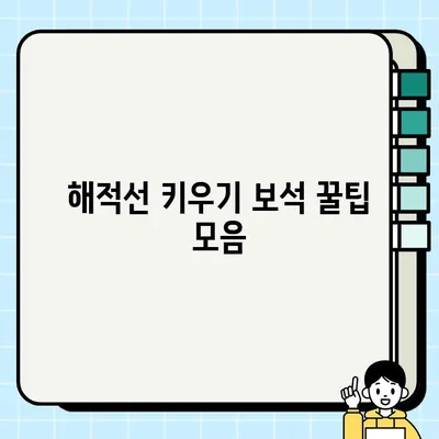 해적선 키우기 무료 보석 획득 꿀팁 대방출! | 해적게임, 무료 보석, 게임 공략