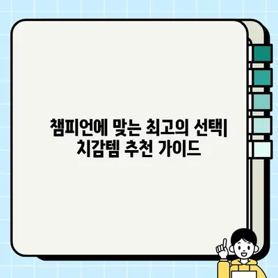 리그 오브 레전드 치감템 종류와 용도 완벽 가이드 | 챔피언별 추천 & 효율적인 활용법