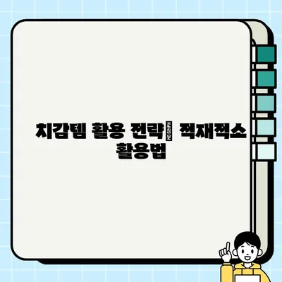 리그 오브 레전드 치감템 종류와 용도 완벽 가이드 | 챔피언별 추천 & 효율적인 활용법