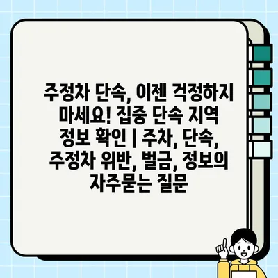 주정차 단속, 이젠 걱정하지 마세요! 집중 단속 지역 정보 확인 | 주차, 단속, 주정차 위반, 벌금, 정보