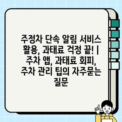 주정차 단속 알림 서비스 활용, 과태료 걱정 끝! | 주차 앱, 과태료 회피, 주차 관리 팁