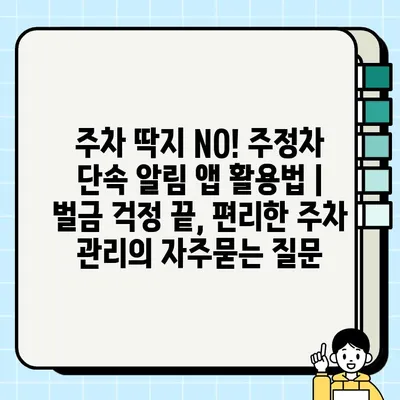 주차 딱지 NO! 주정차 단속 알림 앱 활용법 | 벌금 걱정 끝, 편리한 주차 관리