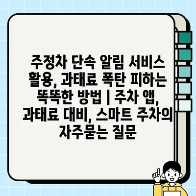 주정차 단속 알림 서비스 활용, 과태료 폭탄 피하는 똑똑한 방법 | 주차 앱, 과태료 대비, 스마트 주차