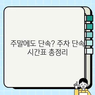 주정차 단속 시간대별 과태료 & 문자 알림 설정 가이드| 주말 포함 | 주차 단속, 과태료, 문자 알림, 주말 주차