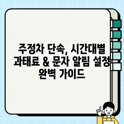 주정차 단속 시간대별 과태료 & 문자 알림 설정 가이드| 주말 포함 | 주차 단속, 과태료, 문자 알림, 주말 주차