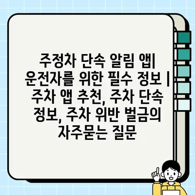 주정차 단속 알림 앱| 운전자를 위한 필수 정보 | 주차 앱 추천, 주차 단속 정보, 주차 위반 벌금