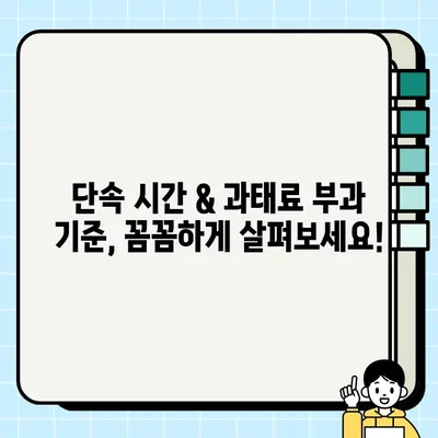 불법 주정차 단속 & 과태료 기준 완벽 정리 | 지역별, 차량 종류별 상세 정보