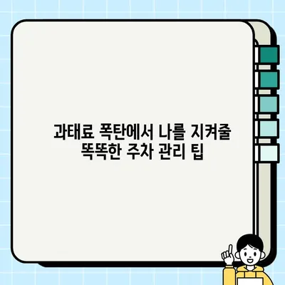 주정차 단속 알림 문자 서비스로 과태료 폭탄 피하는 꿀팁 | 주차 단속, 알림 서비스, 과태료, 벌금
