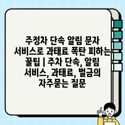 주정차 단속 알림 문자 서비스로 과태료 폭탄 피하는 꿀팁 | 주차 단속, 알림 서비스, 과태료, 벌금