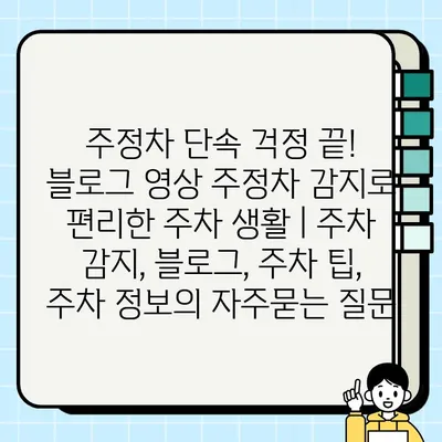 주정차 단속 걱정 끝! 블로그 영상 주정차 감지로 편리한 주차 생활 | 주차 감지, 블로그, 주차 팁, 주차 정보