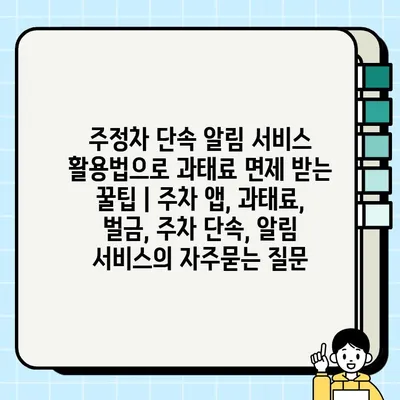 주정차 단속 알림 서비스 활용법으로 과태료 면제 받는 꿀팁 | 주차 앱, 과태료, 벌금, 주차 단속, 알림 서비스