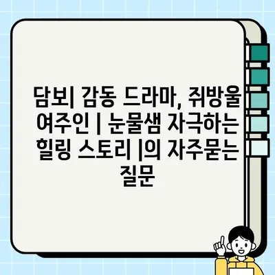 담보| 감동 드라마, 쥐방울 여주인 | 눈물샘 자극하는 힐링 스토리 |