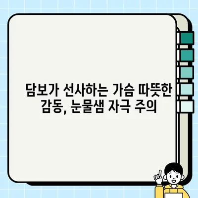 담보| 뻔하지만 감동적인 이야기, 결말과 리뷰 | 영화 리뷰, 가족 드라마, 눈물샘 자극