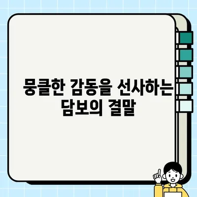 담보| 인물, 결말, 줄거리, 예고편 정보 | 영화 분석, 감상 포인트, 배우 정보