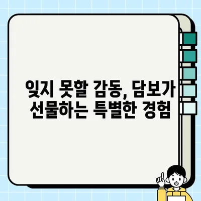 "인생의 보물이 될 영화" 담보| 웃음과 감동의 완벽한 조화 | 가슴 따뜻한 영화 추천, 가족 영화, 한국 영화