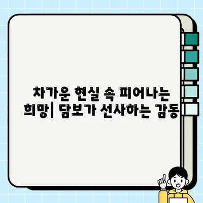 담보 결말| 가족 관계의 시작 | 영화 해석, 가족 드라마, 관계 변화