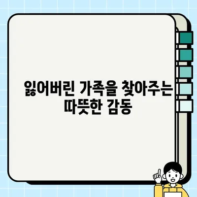 담보| 아버지와 딸의 따뜻한 감동을 선사하는 영화 이야기 | 가족애, 휴먼 드라마, 감동 실화