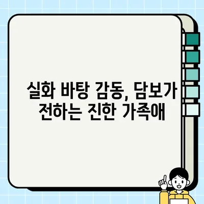 담보| 아버지와 딸의 따뜻한 감동을 선사하는 영화 이야기 | 가족애, 휴먼 드라마, 감동 실화