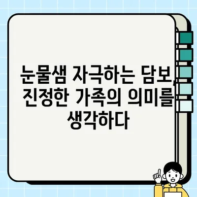 담보 출연진의 눈물 펑펑 후기| 진심이 전해지는 명작 드라마 | 담보, 드라마 후기, 감동, 눈물, 가슴 아픈 이야기