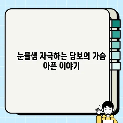 담보, 눈물 펑펑 후기| 출연진과 결말까지 낱낱이 파헤치다 | 영화 리뷰, 감동 실화, 가슴 아픈 이야기