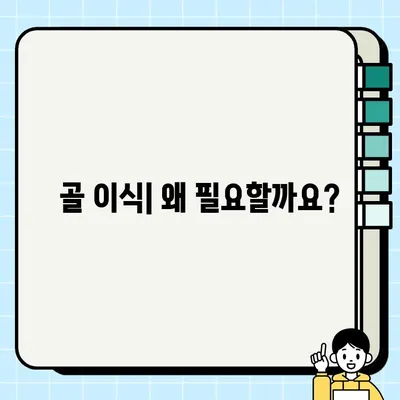 PFG 임플란트 종류와 골 이식 필요성| 당신에게 맞는 선택은? | 임플란트, 골 이식, 치과