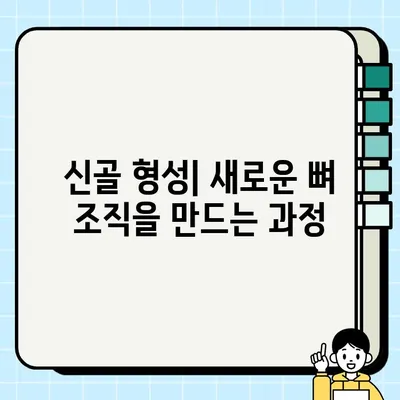 PFG 임플란트 골 이식| 뼈 융합 및 신골 형성 과정 | 임플란트, 골 이식, 치과 수술, 뼈 재생