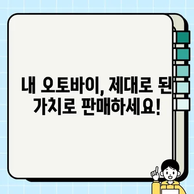 수원 중고 오토바이 매입| 바이크 전문가가 빠르게 처리해 드립니다 |  즉시 현금, 최고가 매입, 전국 가능