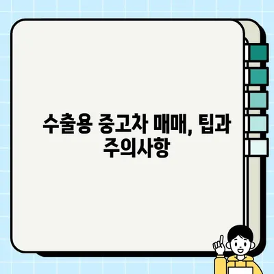 수출용 중고차 거래, 안전하고 성공적인 방법 | 사기 예방, 유의사항, 절차, 팁