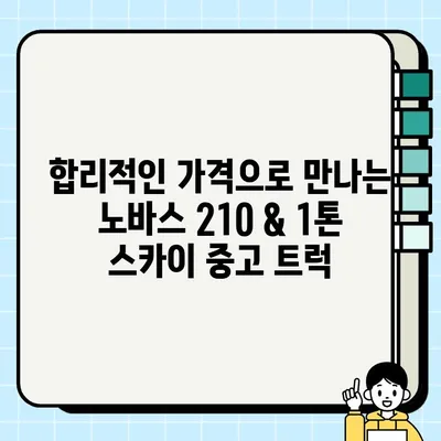 노바스 210 & 1톤 스카이 중고 트럭 거래| 가격, 매물 정보, 거래 팁 | 중고차, 트럭 매매, 덤프트럭, 화물차