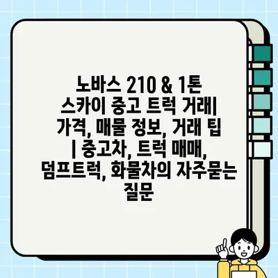 노바스 210 & 1톤 스카이 중고 트럭 거래| 가격, 매물 정보, 거래 팁 | 중고차, 트럭 매매, 덤프트럭, 화물차