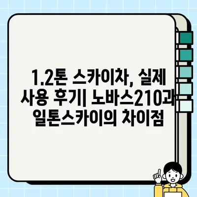 1.2톤 스카이차 거래| 노바스210 vs 일톤스카이 | 장비 비교, 가격 정보, 구매 가이드