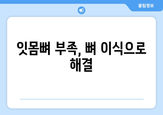 대구 임플란트 치과에서 뼈 이식이 필요한 이유| 잇몸뼈 부족, 성공적인 임플란트를 위한 필수 조건 | 임플란트, 뼈 이식, 잇몸뼈, 대구 치과