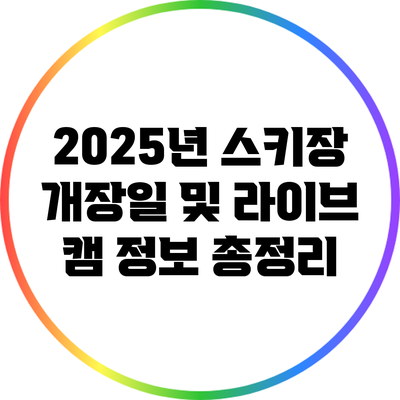 2025년 스키장 개장일 및 라이브 캠 정보 총정리